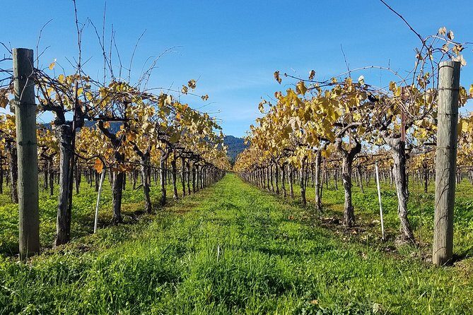 8 Hour Private Wine Country Tour (Sedan, SUV or Limo) - FAQ