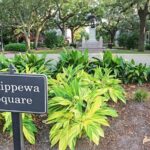 A Film History of Savannah Walking Tour - Practical Details and Why They Matter