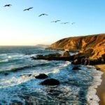 A Self-Guided Audio Tour Around Bodega Head - The Value of This Tour