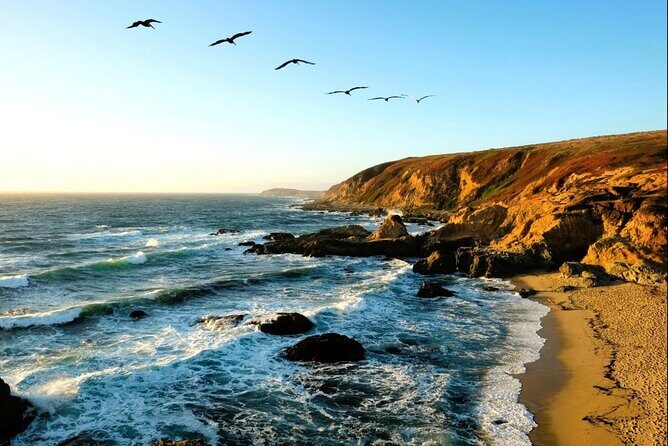 A Self-Guided Audio Tour Around Bodega Head - The Value of This Tour