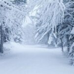 Acadia National Park Winter Wonderland Private Driving Tour - Key Points