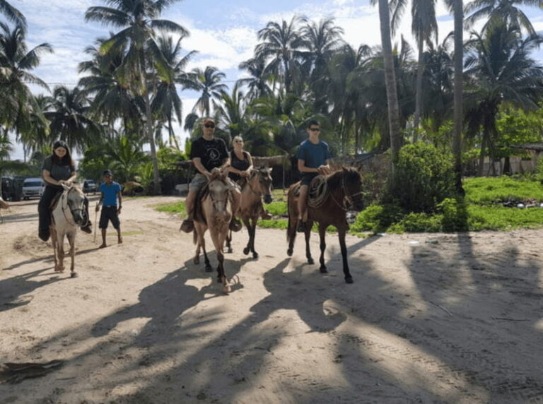 Acapulco: Bonfil Beach Horseback Riding Experience - The Itinerary and What to Expect