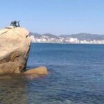 Acapulco Highlights City Sightseeing Tour - The Thrill of La Quebrada