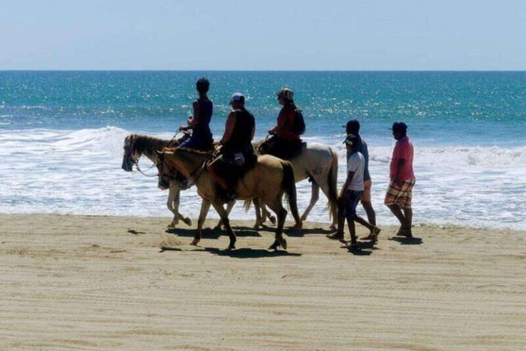 -Acapulco: Horseback Ride Exp. Crocodile Farm, and City Tour - Analyzing the Value