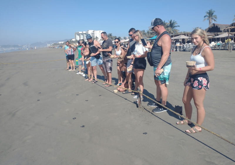 Acapulco: Lagoon Tour - Visiting the Turtle Camp: A Joyful Introduction to Marine Life