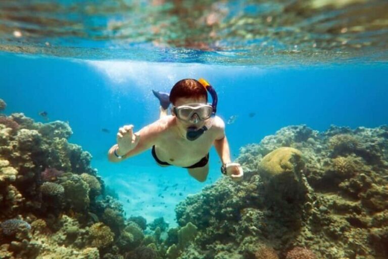 Acapulco: Snorkeling - Who Is This Tour Best Suited For?