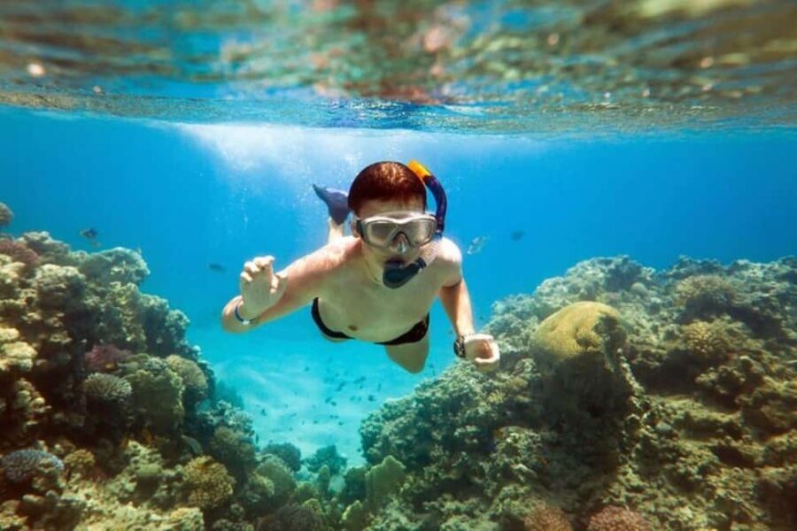 Acapulco: Snorkeling - Who Is This Tour Best Suited For?