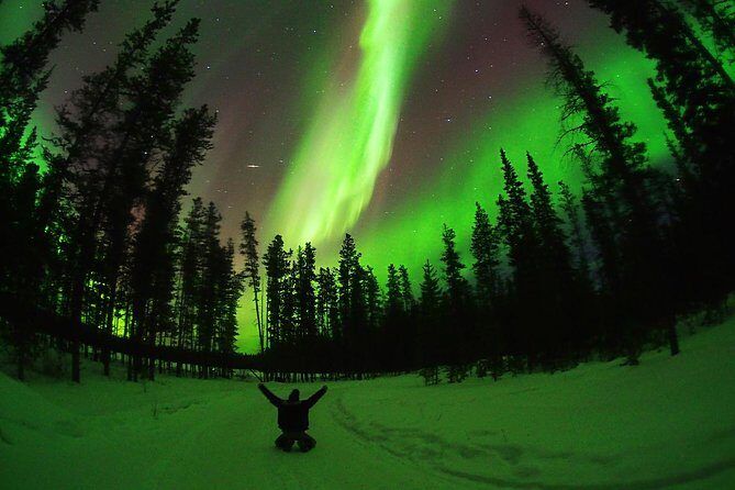 Active Winter Adventure in Yukon | 5 days - The Value of the Tour: What You’re Really Getting