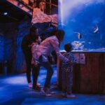 Acuario Sealand Guadalajara Admission Ticket - A Close Look at the Experience