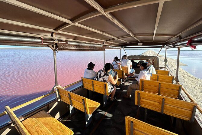 Admission Ticket to Safari in the Pink Lagoons of Las Coloradas - The Value of the Tour