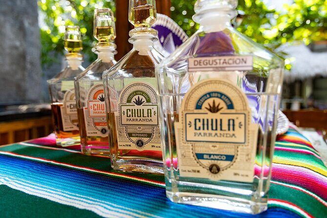 Adrenaline Adventure Puerto Morelos - Thrills in the Jungle: Aerial Activities