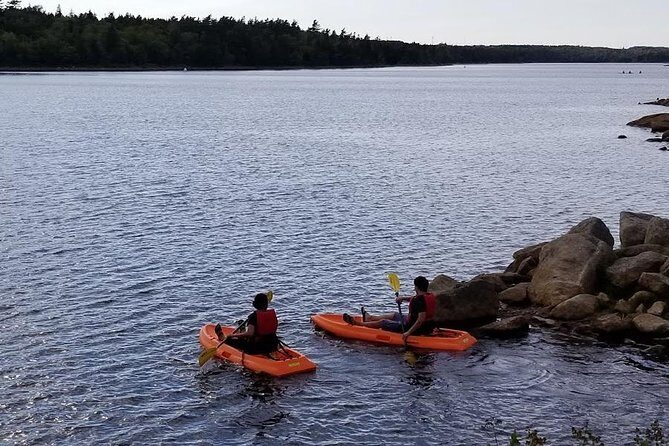 Adult Single Kayak Rental - Key Points