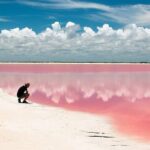 Adventour Day: Coloradas and Rio Lagartos Excursion from Cancun! - Rio Lagartos: A Wildlife Sanctuary in Motion