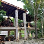 Adventure to Hacienda Mucuyche & Oxkintok, 2 cenotes from Mérida - Lunch and Facilities: Comfort and Convenience