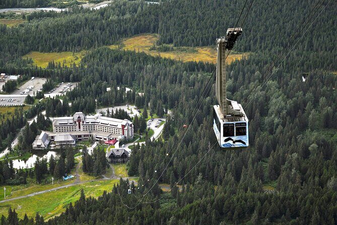 Aerial Tram and Wildlife Center tour from Anchorage - What’s Included & What’s Not
