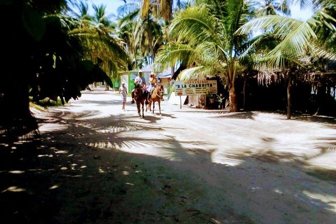 Afro-Mex Village Experience -Horseback Ride -Turtle Hatch & Crocs - What to Expect at Each Stage