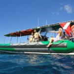 Afternoon Adventure Snorkel from Ka'anapali - Who Should Consider This Tour?