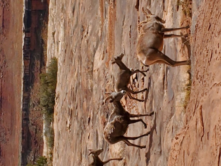 Afternoon Canyonlands Island In The Sky 4X4 Tour - What Travelers Say