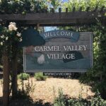 Afternoon Half-day Carmel Valley Wine Tasting Tour - Tasting experience and value