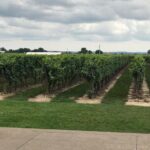 Afternoon Wine, Beer & Charcuterie Tour - Exploring the Tour in Detail