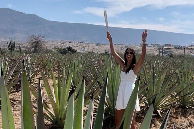 Agave Adventures Mexico - The Itinerary Explored