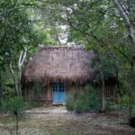 Ake Ruins & Homun Cenotes Day Tour from Merida - The Practical Side: What to Expect and Tips
