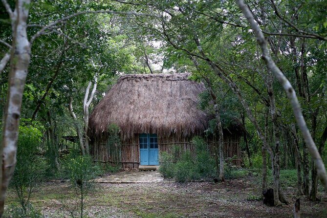 Ake Ruins & Homun Cenotes Day Tour from Merida - The Practical Side: What to Expect and Tips