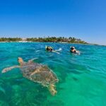 Akumal; Snorkeling with The Sea Turtles - Why This Tour Truly Shines
