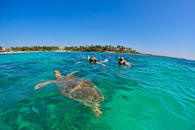 Akumal; Snorkeling with The Sea Turtles - Why This Tour Truly Shines