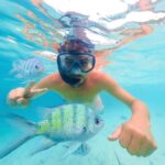 Akumal: Swim with Turtles in a Natural Paradise - What to Expect During the Tour
