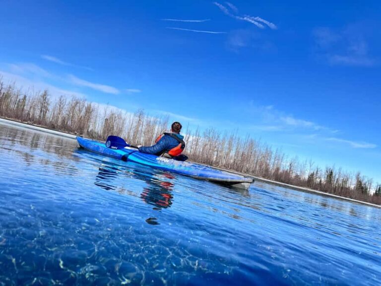 Alaska: Cold Weather Kayaking Experience - Who Would Love This Tour?