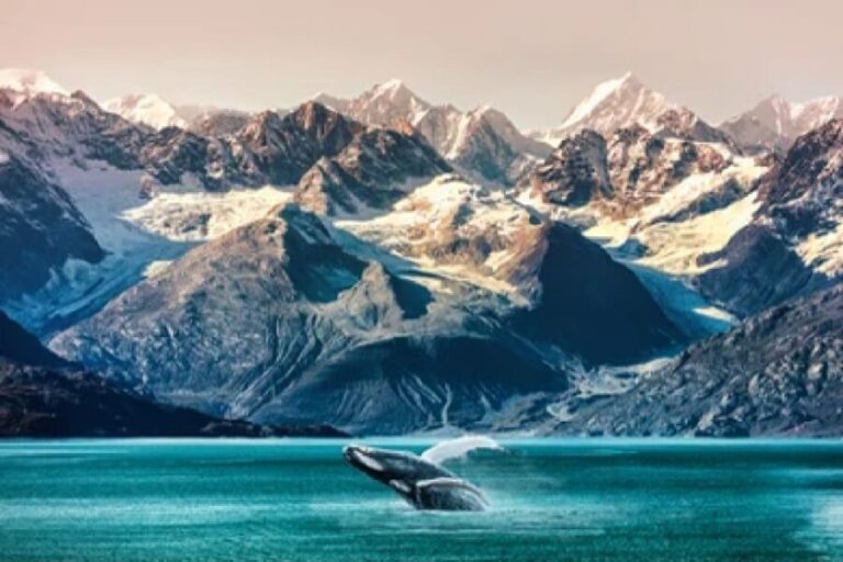Alaska: Kenai Fjords & Denali National Park 5 Day Adventure - The Value of What’s Included
