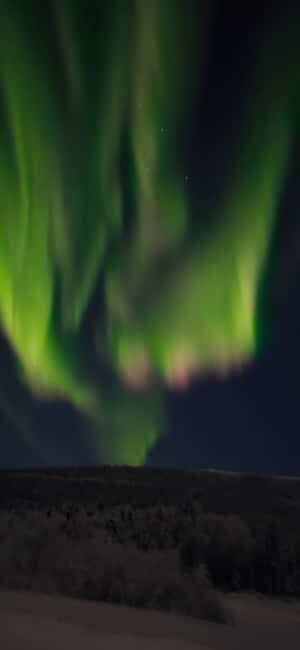 Alaska: Private Northern Lights Viewing Tour - The Itinerary in Detail — What to Expect