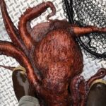 Alaskan Salmon Fishing with optional Adaptive Gear - The Experience in Practice — Customer Perspectives