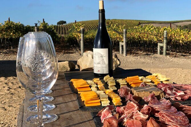 Albatross Ridge Vineyards Electric Bike Tour & Wine Tasting - An In-Depth Look at the Experience