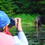 Algonquin Park 3-Day Deluxe Camping & Canoeing Adventure - The Balancing Act: Value and Possible Drawbacks