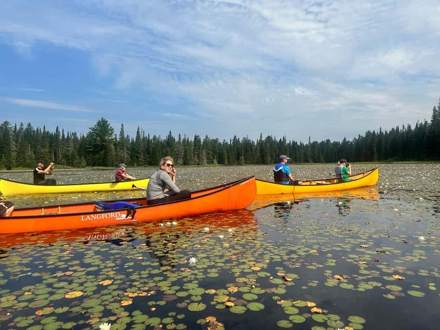 Algonquin Park Day Tour: Canoeing Adventure - Practicalities and Booking