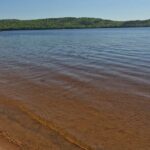 Algonquin Provincial Park Full Day Trip - Discovering Algonquin: An in-Depth Look