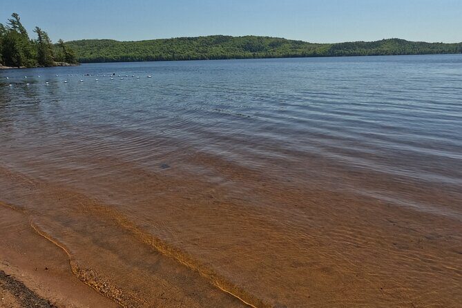Algonquin Provincial Park Full Day Trip - Discovering Algonquin: An in-Depth Look