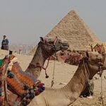 All exclusive Giza Pyramids with Camel ride - A Deep Dive into the Tour Experience