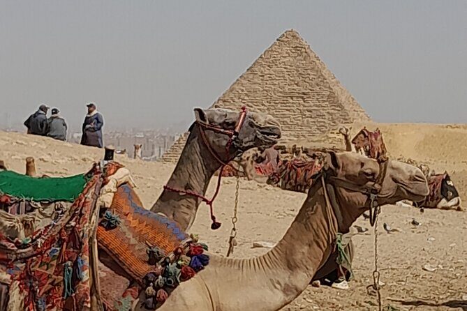 All exclusive Giza Pyramids with Camel ride - A Deep Dive into the Tour Experience