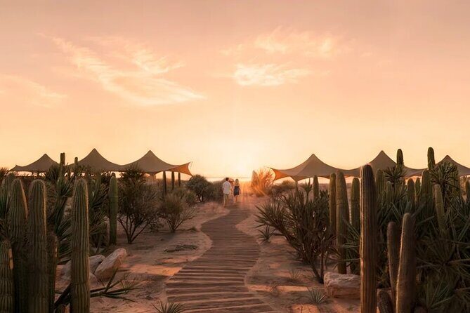 All inclusive Beach and Kids Adventure Park Experience - Who Will Love This Tour?