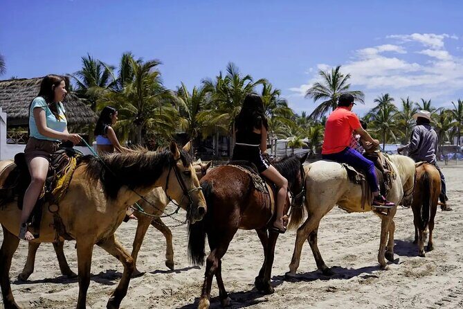 All Inclusive Beach Club, Water Sports, Horse Ride, Food & Drinks - Authentic Experiences and Real Guest Feedback