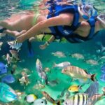 All inclusive catamaran tour to Isla Mujeres with snorkeling for the best price - The Sum Up