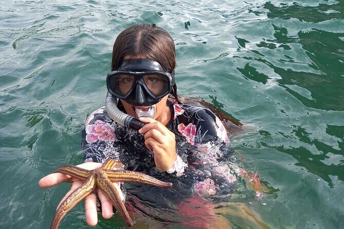 All-inclusive Colomitos cruise and Animas beach snorkeling - Who should consider this tour?