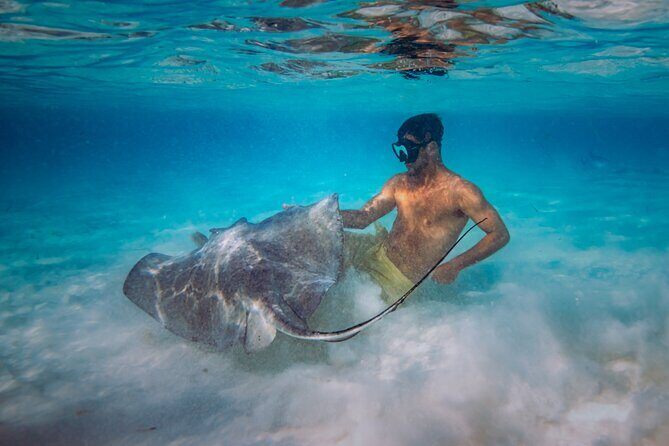 All Inclusive Cozumel: Coast & Relax 4hrs in 51" Leopard - Frequently Asked Questions