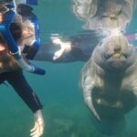 All Inclusive Private Manatee Swim - The Experience in Detail