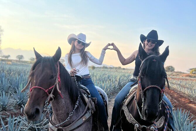 All-Inclusive Tequila, History and Adventure in Rancho Agavero - Exploring the Tour: A Step-by-Step Breakdown