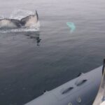 All-Terrain Vehicle Tour in Trinity Newfoundland and Labrador - Who Should Consider This Tour?