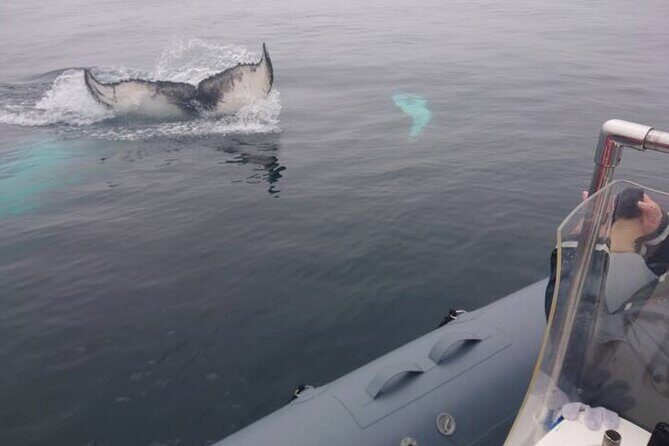 All-Terrain Vehicle Tour in Trinity Newfoundland and Labrador - Who Should Consider This Tour?